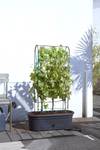 green basics jardiniere treillis 80cm living noir